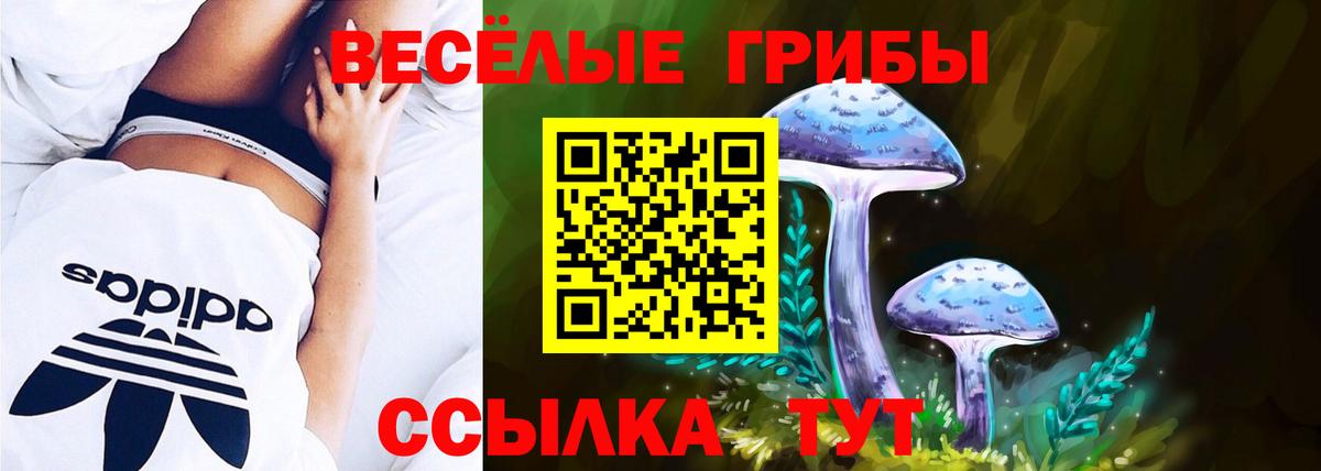 Баксан  Галлюциногенные грибы MAGIC MUSHROOMS  Вход с VPN 